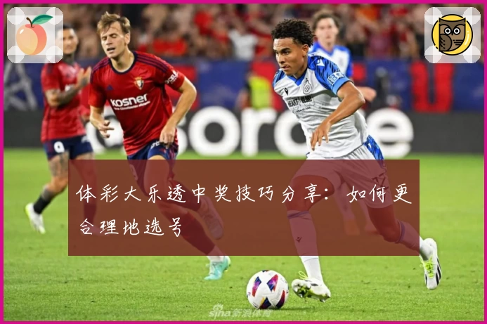 体彩大乐透中奖技巧分享:如何更合理地选号