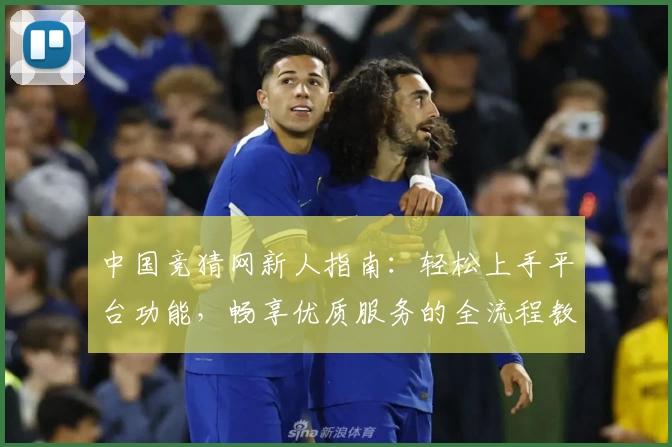 中国竞猜网新人指南：轻松上手平台功能，畅享优质服务的全流程教程