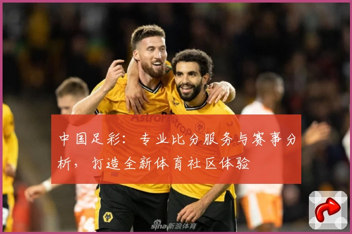 中国足彩:专业比分服务与赛事分析,打造全新体育社区体验